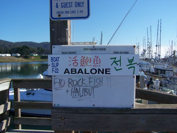 This is the sign on the docks that pointed us toward our adventure.