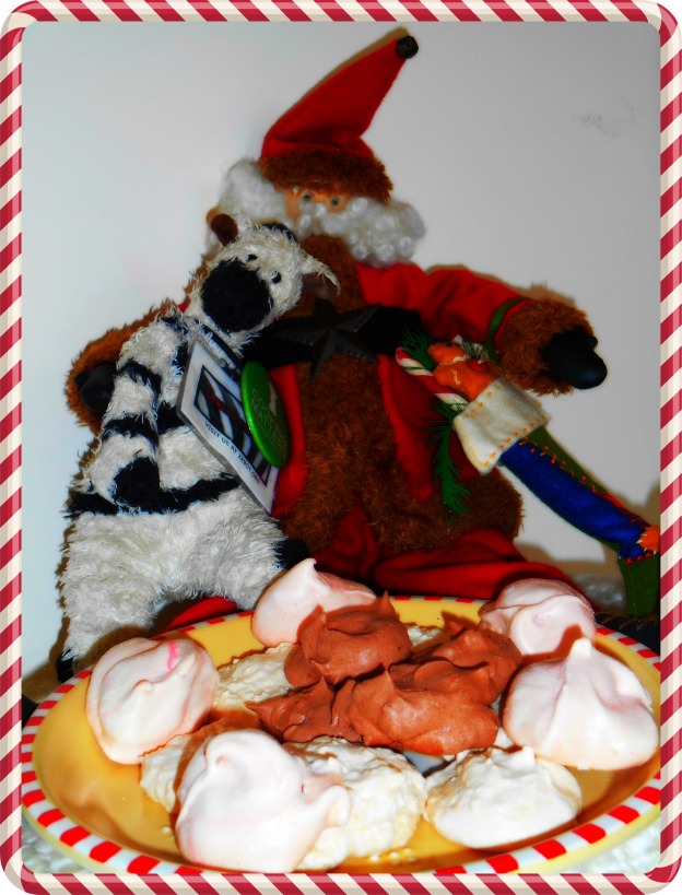 ZeBot & Santa with Cookies