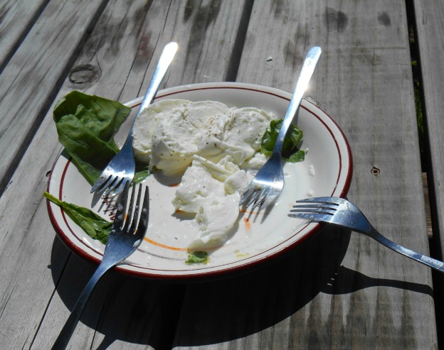 Plated Mozzarella on Picnic Table